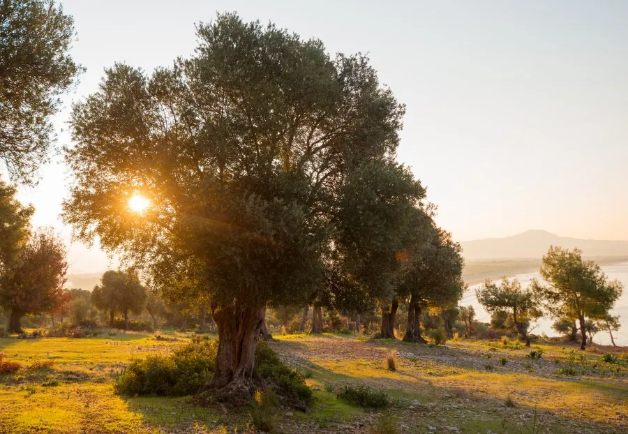 Wachstum durch Schwierigkeiten