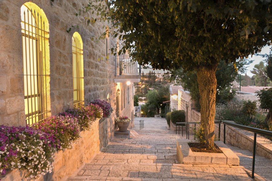 Hamtana – Ist Warten ein Geschenk?