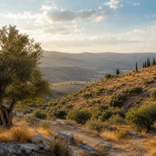 Israel