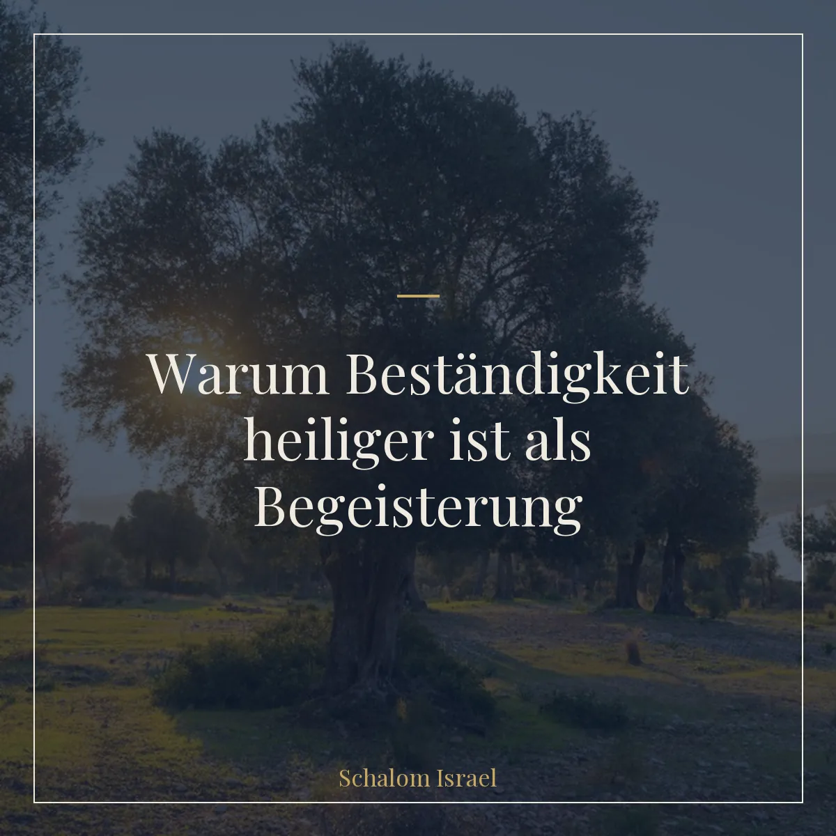 Warum Beständigkeit heiliger ist als Begeisterung