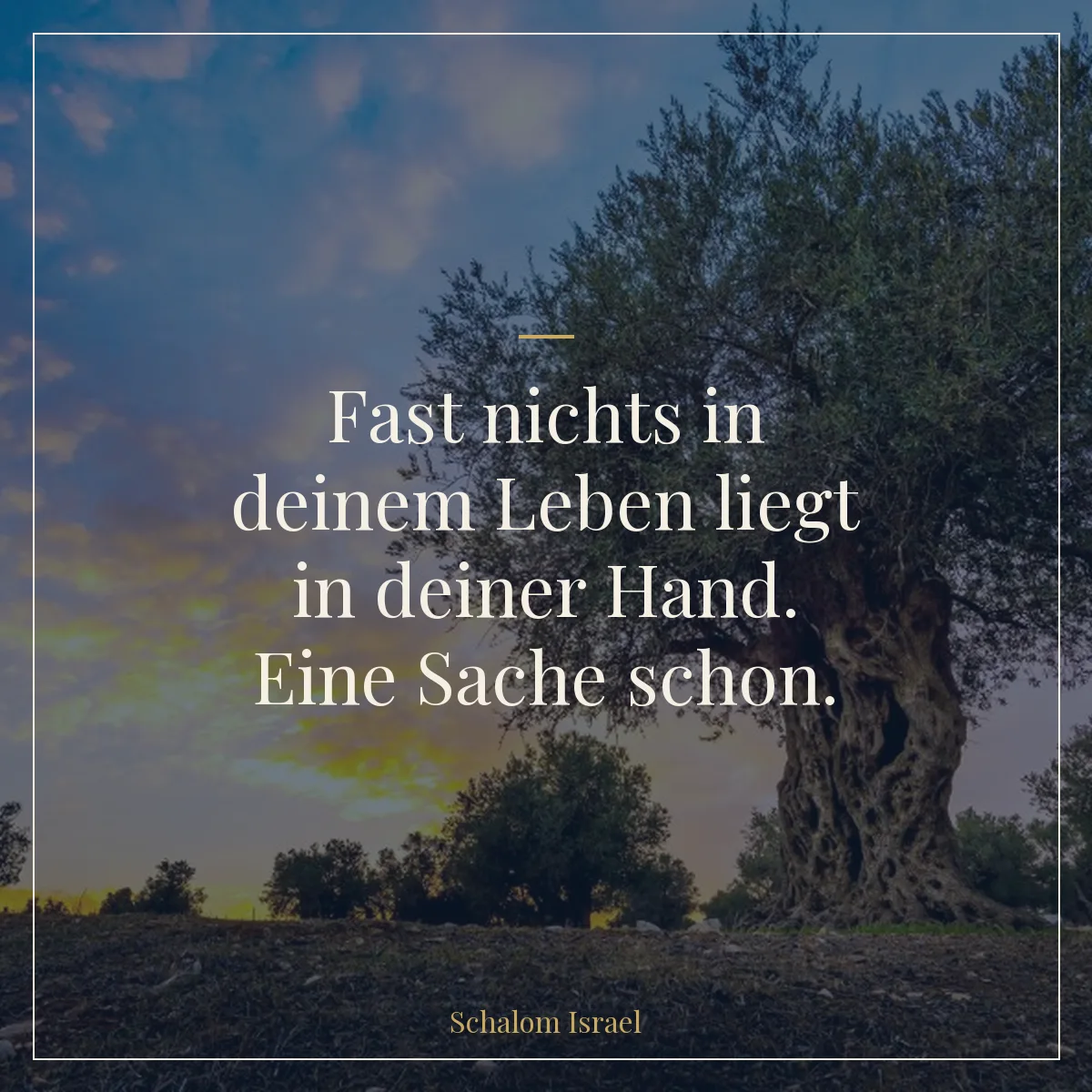Fast nichts in deinem Leben liegt in deiner Hand. Eine Sache schon.