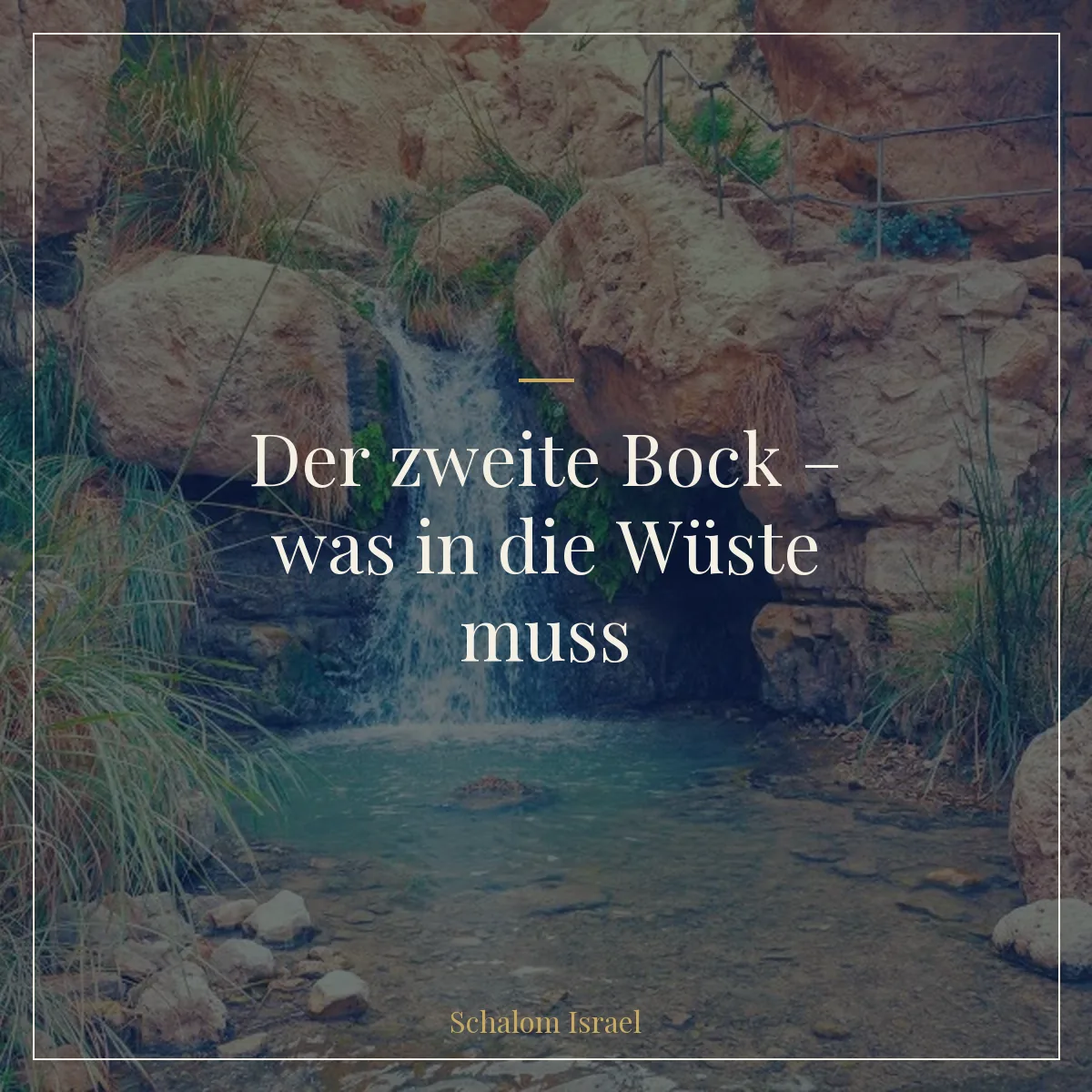 Der zweite Bock – was in die Wüste muss