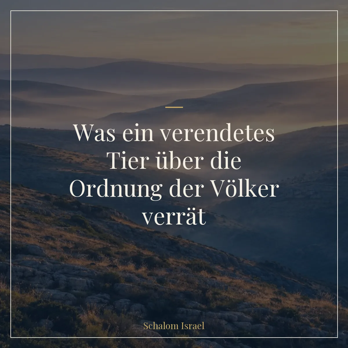Was ein verendetes Tier über die Ordnung der Völker verrät