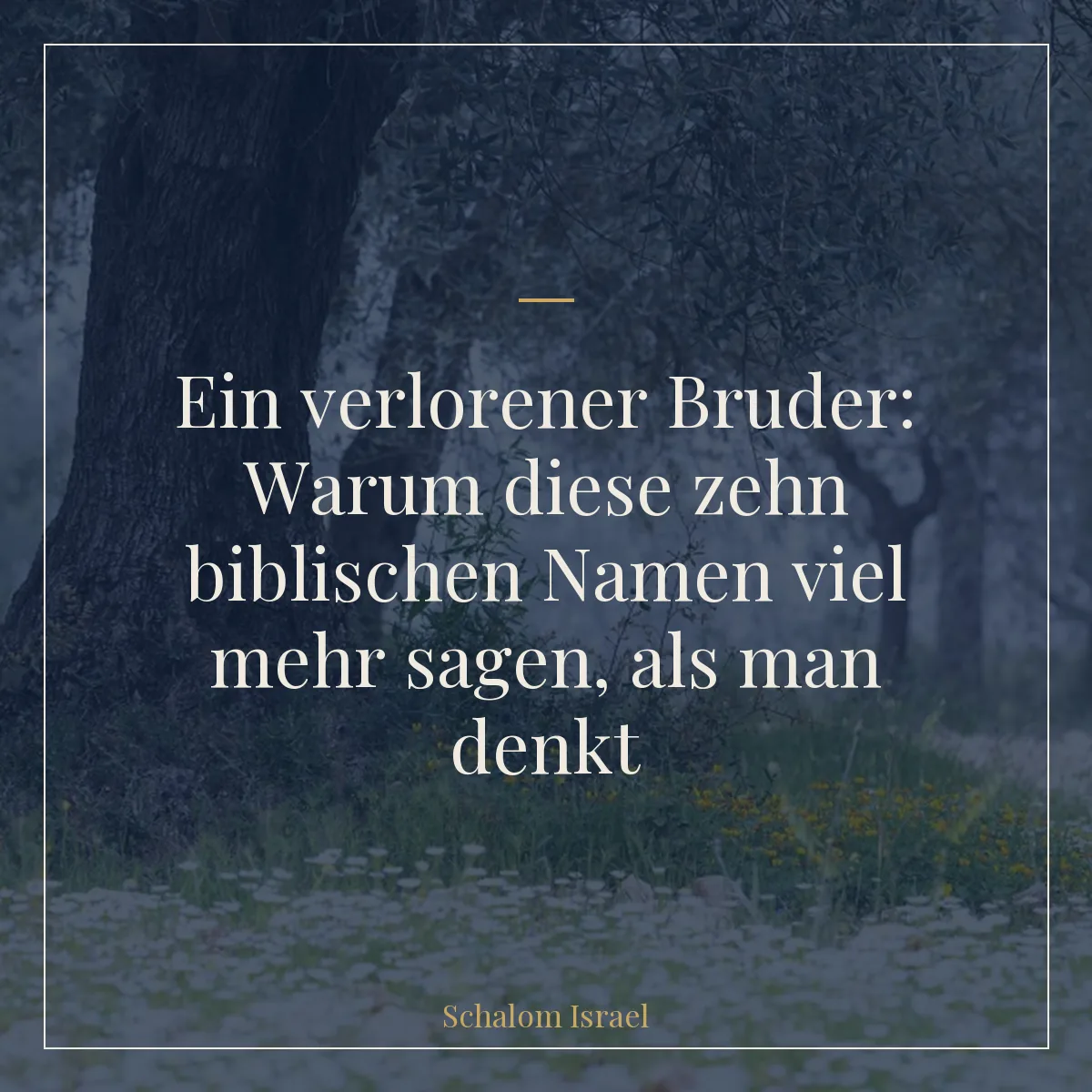 ein-verlorener-bruder