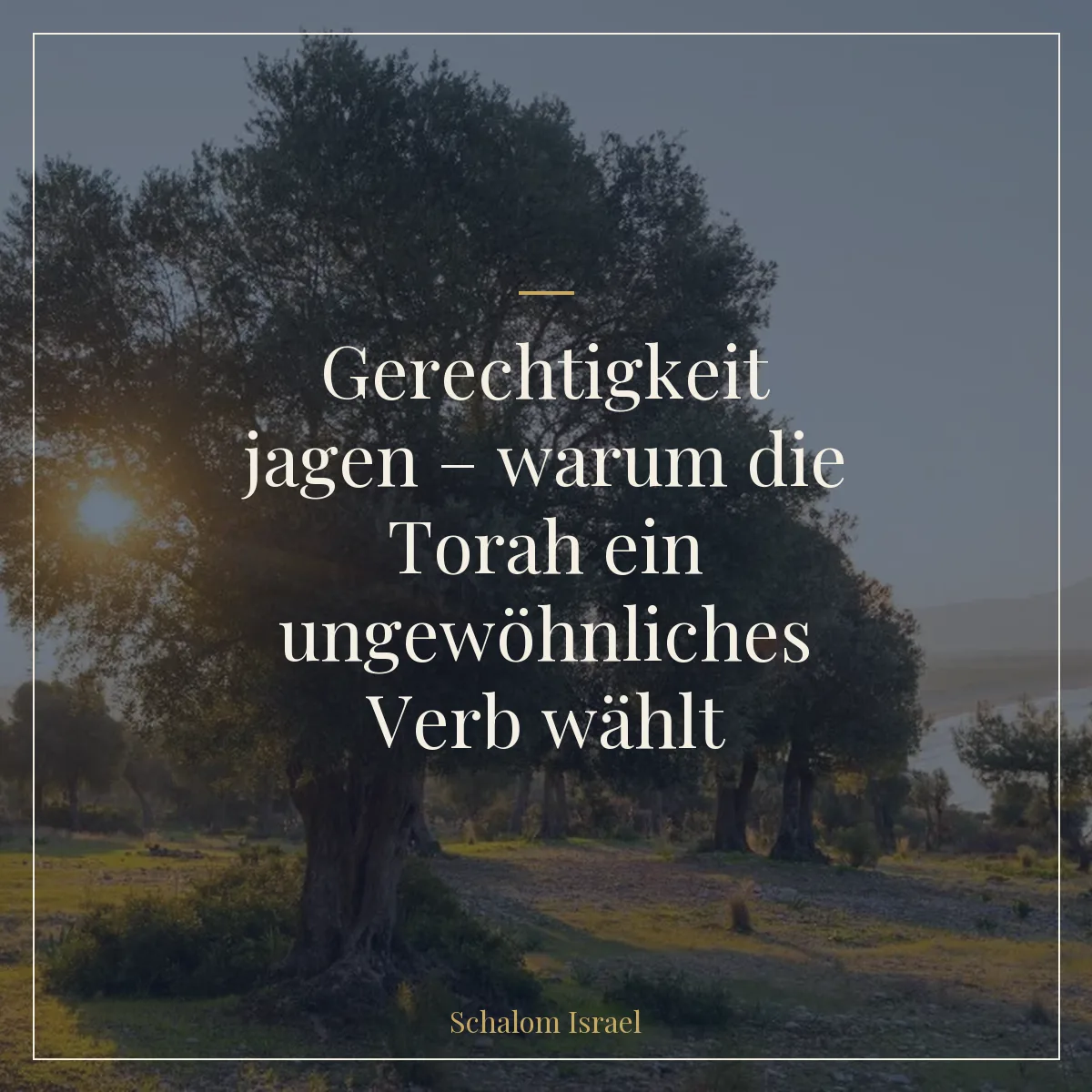 Gerechtigkeit jagen – warum die Torah ein ungewöhnliches Verb wählt