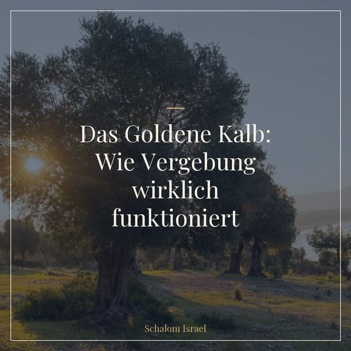 Das Goldene Kalb: Wie Vergebung wirklich funktioniert