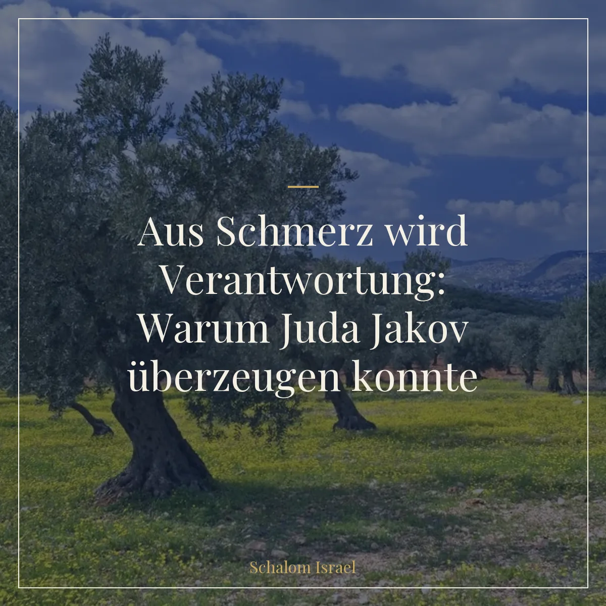 Aus Schmerz wird Verantwortung: Warum Juda Jakov überzeugen konnte