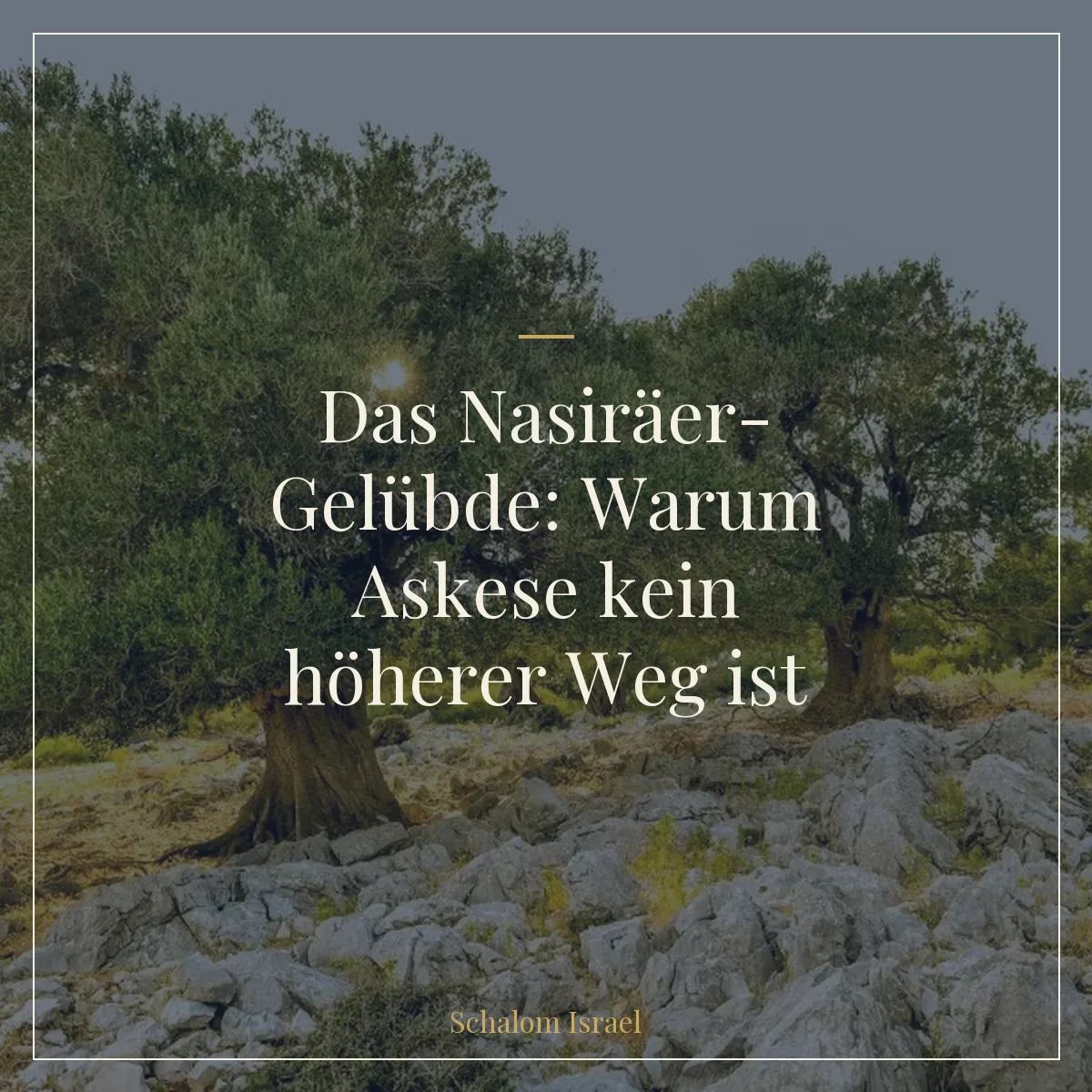 Das Nasiräer-Gelübde: Warum Askese kein höherer Weg ist