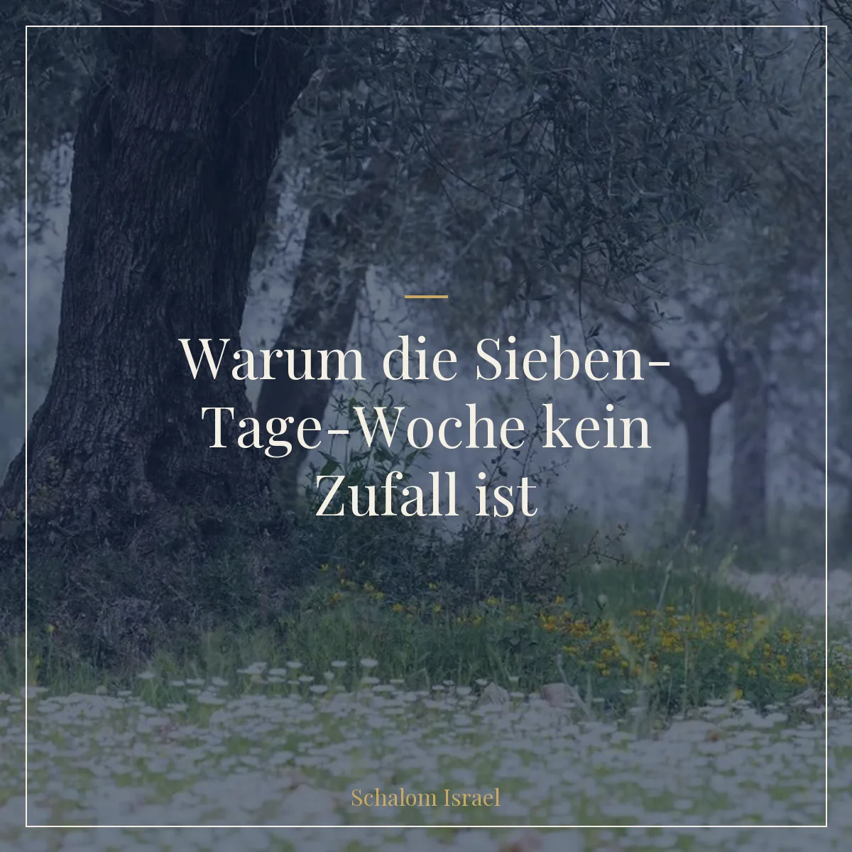 Warum die Sieben-Tage-Woche kein Zufall ist