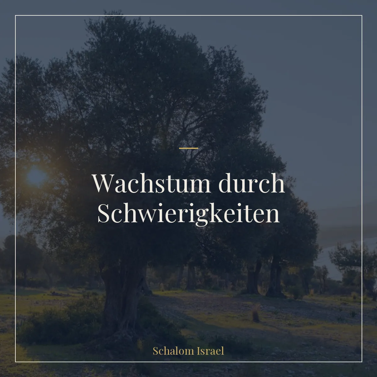 Wachstum durch Schwierigkeiten