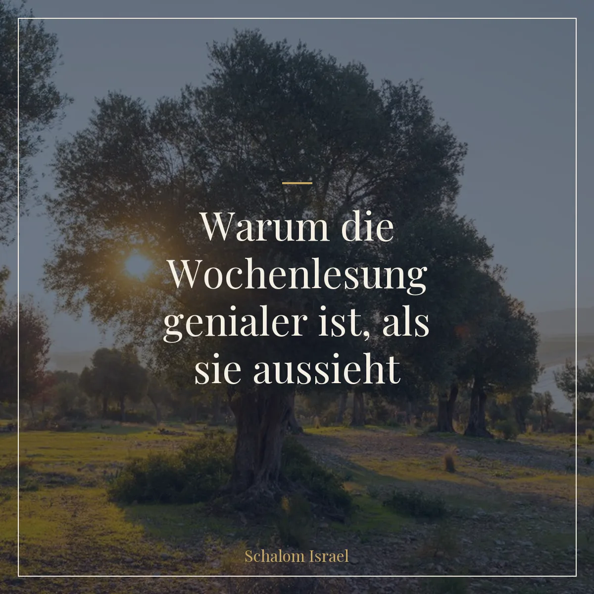 Warum die Wochenlesung genialer ist, als sie aussieht